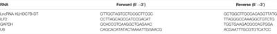 ILF2 Contributes to Hyperproliferation of Keratinocytes and Skin Inflammation in a KLHDC7B-DT-Dependent Manner in Psoriasis